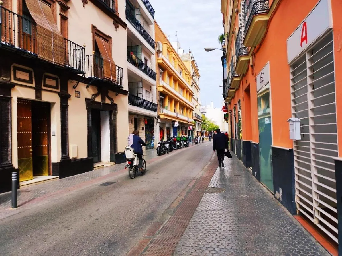 Estudio Morgado.Tranquilidad. Calle Amor De Dios! Sevilla